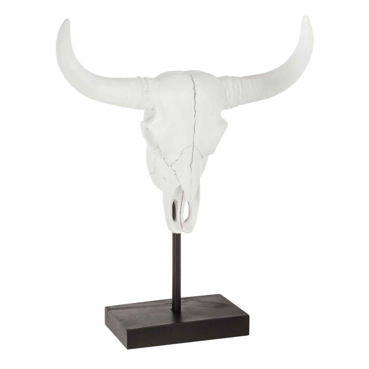 Buffalo skull